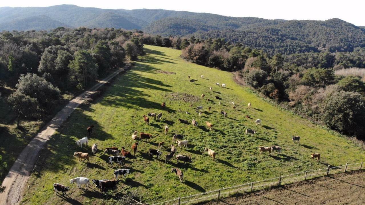 Brugarolas Village Castelltercol Экстерьер фото